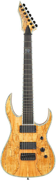 La guitare électrique BC Rich Shredzilla Extreme 7 Exotic SM | Test, Avis & Comparatif | E.G.L