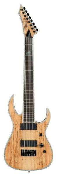 La guitare électrique BC Rich Shredzilla Extreme8 Exotic SM | Test, Avis & Comparatif | E.G.L