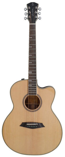 Guitare acoustique Larry Carlton A4-G NT | Test, Avis & Comparatif