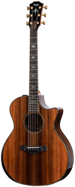 Guitare acoustique Taylor 914ce Limited | Test, Avis & Comparatif
