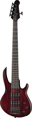 Gibson EB Bass 5 String Voodoo Juju