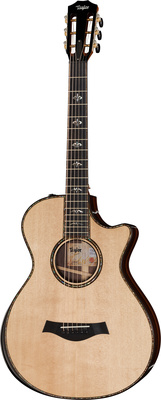 Guitare acoustique Taylor 912ce-12 Fret V-Class | Test, Avis & Comparatif