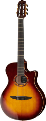 Guitare classique Yamaha NTX3BS Brown Sunburst B-Stock | Test, Avis & Comparatif