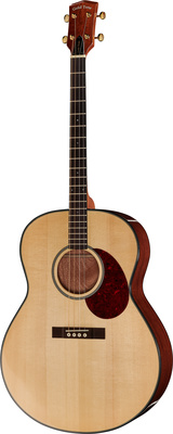 Guitare acoustique Gold Tone TG-18 Tenor Guitar | Test, Avis & Comparatif