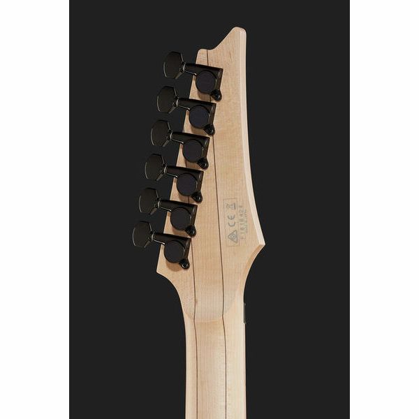 Ibanez RG550L-DY (Guitare électrique) / Avis, Test