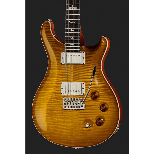 PRS DGT Birds MS (Guitare électrique) Test, Avis