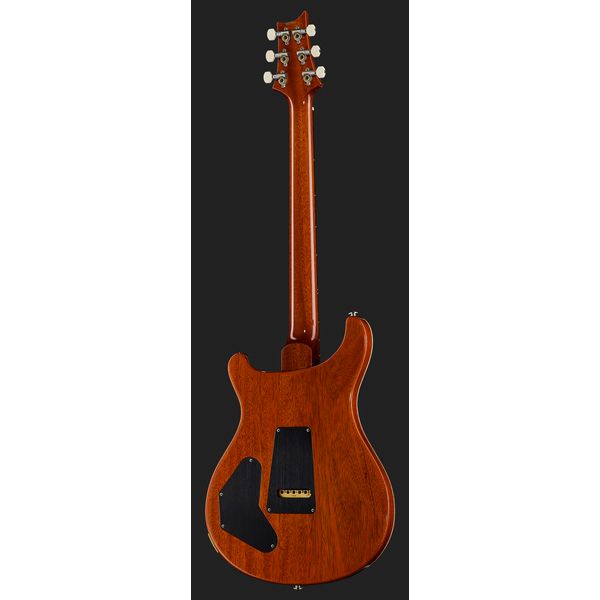 PRS DGT Birds MS (Guitare électrique) Test, Avis