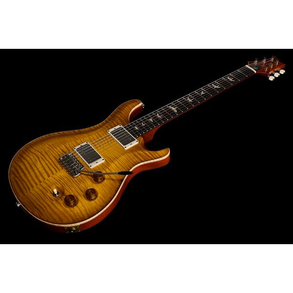 PRS DGT Birds MS (Guitare électrique) Test, Avis