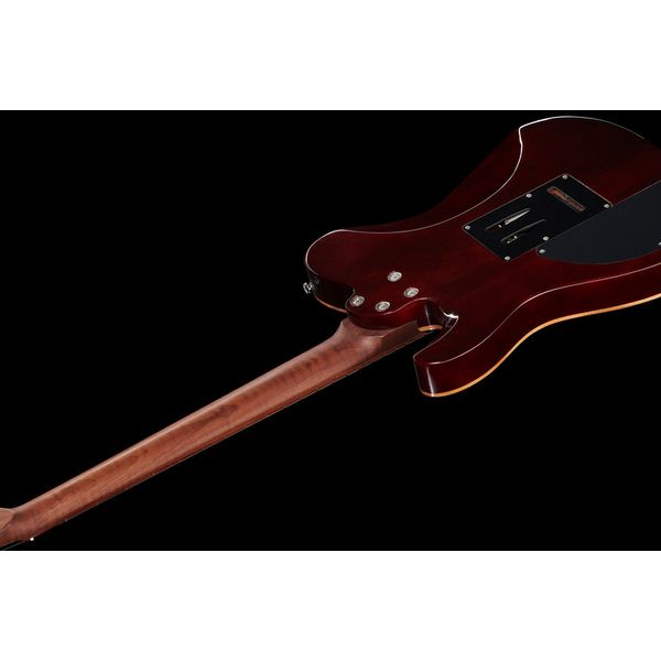 La guitare électrique Harley Benton Fusion-T HH Roasted FNT w/Case / Test, Avis et Comparatif