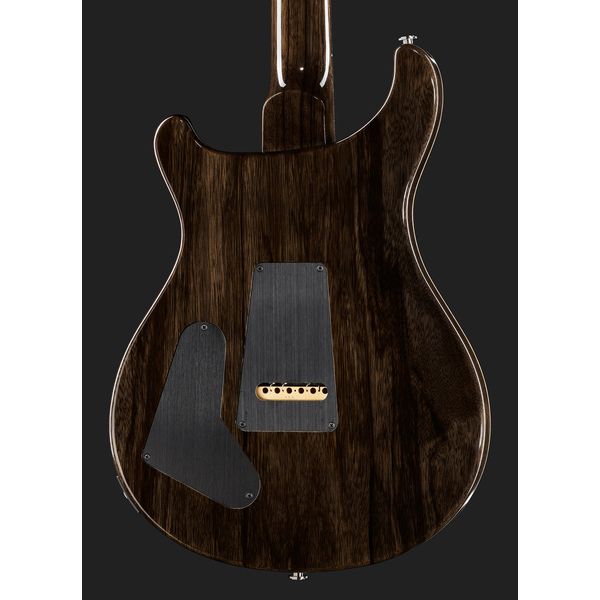 PRS Special 22 SH Private Stock CG (Guitare électrique) Test, Avis & Comparatif