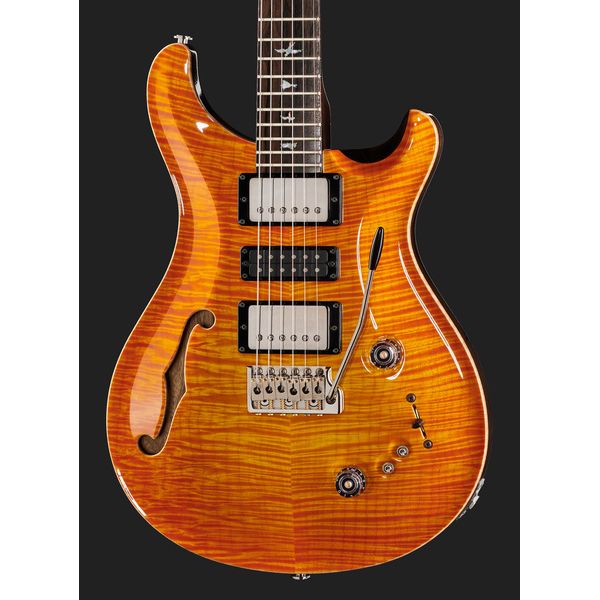 PRS Special 22 SH Private Stock CG (Guitare électrique) Test, Avis & Comparatif