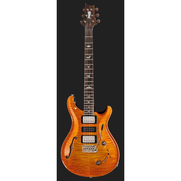 PRS Special 22 SH Private Stock CG (Guitare électrique) Test, Avis & Comparatif