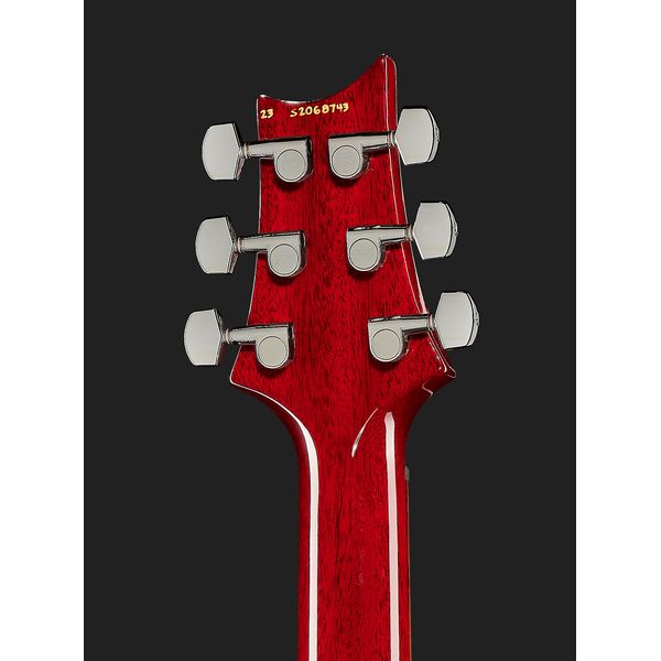 PRS S2 Custom 24 Birds FR (Guitare électrique) Test & Avis