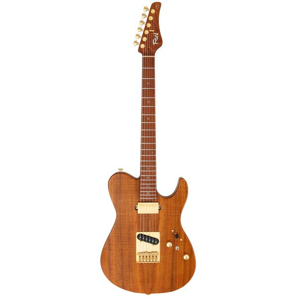 Guitare électrique FGN Expert Iliad EW VN Avis & Test