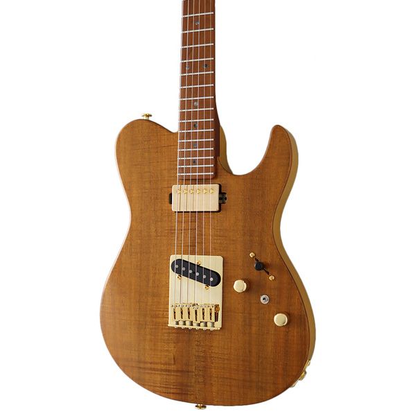 Guitare électrique FGN Expert Iliad EW VN Avis & Test