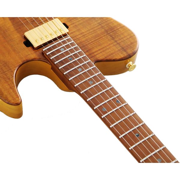 Guitare électrique FGN Expert Iliad EW VN Avis & Test