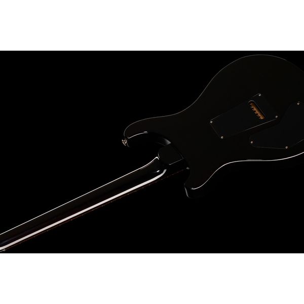 PRS DGT Birds Black Gold Burst '24 - Avis sur cette guitare électrique