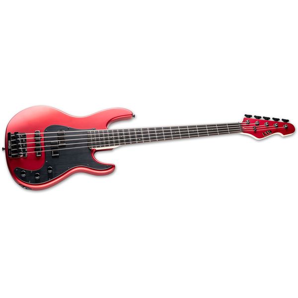 Avis sur ESP LTD AP-5 - Test basse électrique