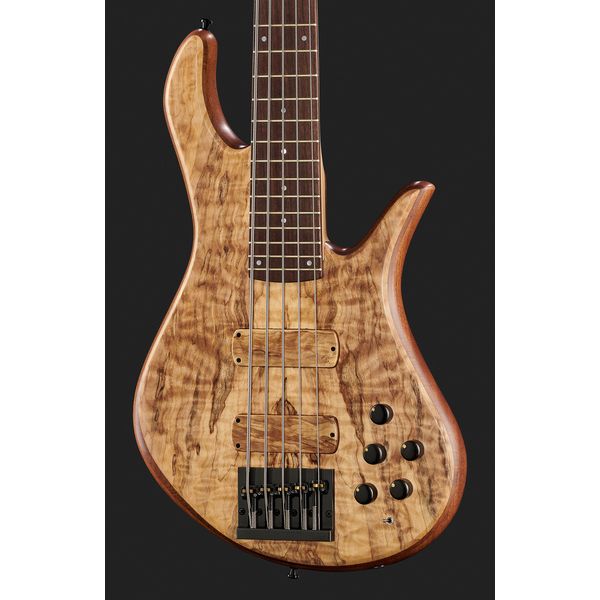 Avis sur Torillo Shevette 5 Double Cut Spalted - Test basse électrique