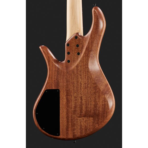 Avis sur Torillo Shevette 5 Double Cut Spalted - Test basse électrique