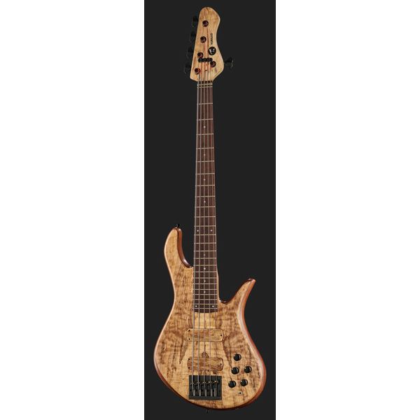 Avis sur Torillo Shevette 5 Double Cut Spalted - Test basse électrique