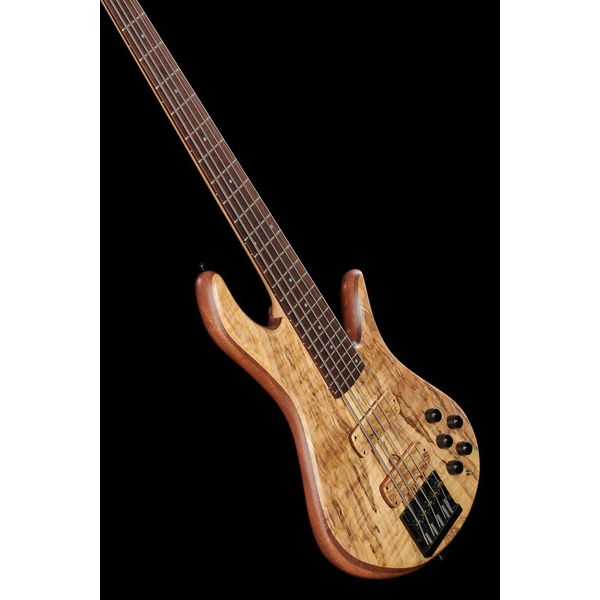 Avis sur Torillo Shevette 5 Double Cut Spalted - Test basse électrique