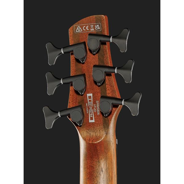 Avis basse électrique Ibanez SRMS806-DTW