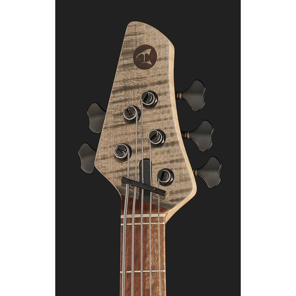 La basse électrique Torillo Onyx 5 Gray Maple : Notre avis