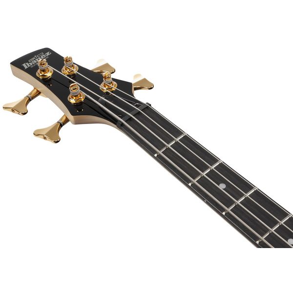 Avis basse électrique Ibanez GSR200-TMU