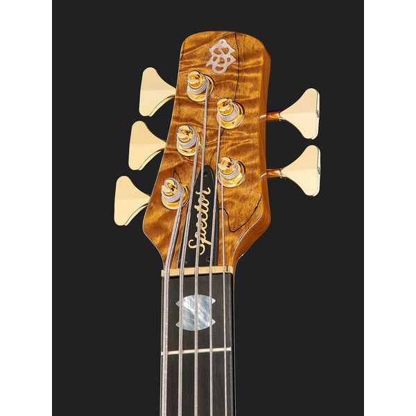 La basse électrique Spector NS-5 Bernstein : Notre avis