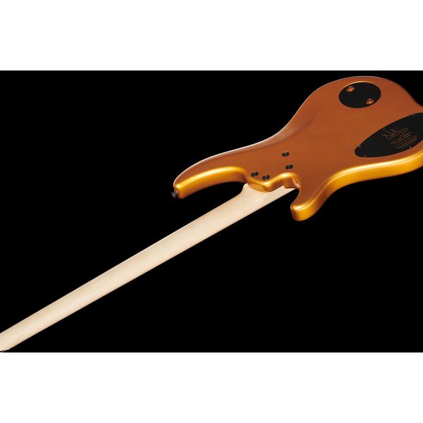 Avis basse électrique Dingwall NG3 Nolly Sig.4 Gold Matte MN