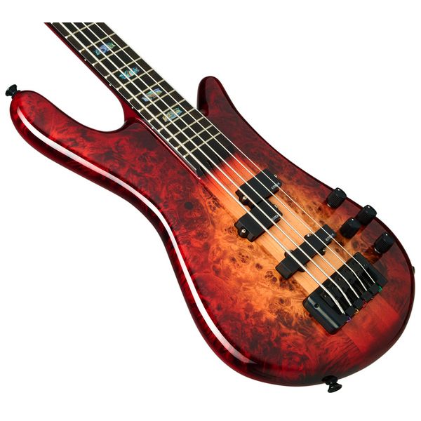 Spector Euro 5 CST Natural Red Burst - Avis sur cette basse électrique