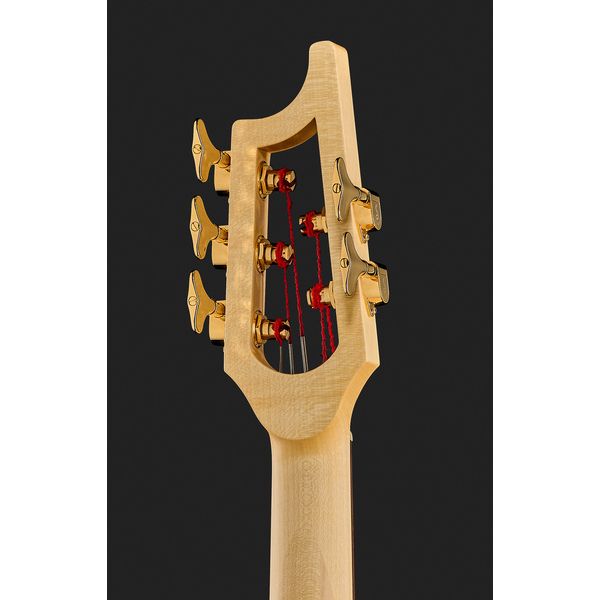 Avis basse électrique Ulrich Bass Nicolo Fretless 5 Walnut