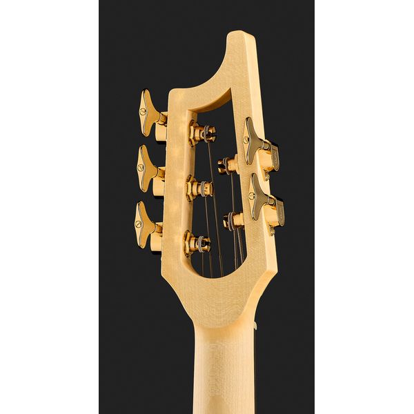 Avis basse électrique Ulrich Bass Saulus Duo 5 Black