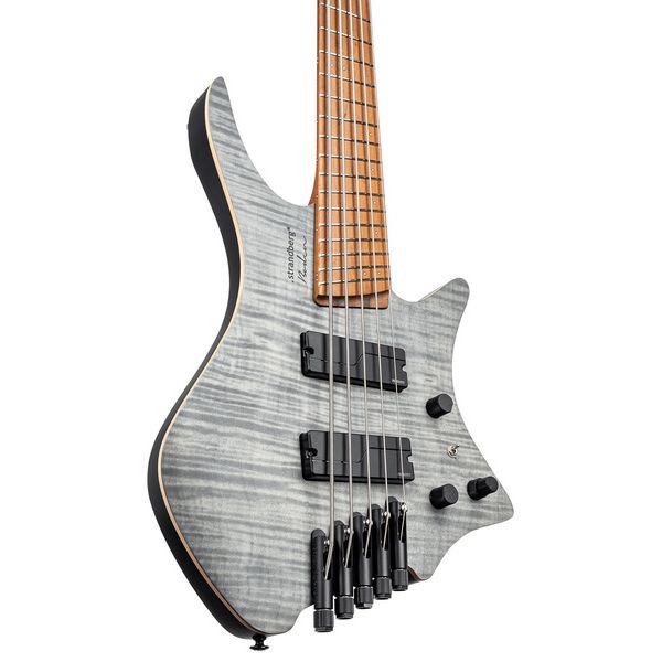Strandberg Boden Bass Standard 5 CH - Avis sur cette basse électrique