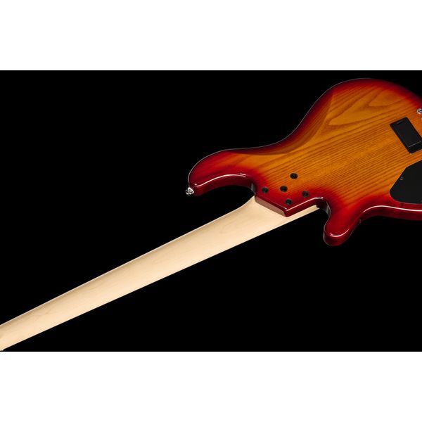 Lakland Skyline 55-02 Deluxe 5 HBG - Avis sur cette basse électrique