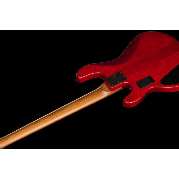 La basse électrique Sterling by Music Man StingRay RAY34HH Spalted BOB : Notre avis