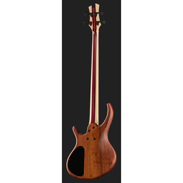 Avis basse électrique Tobias Killer B IV