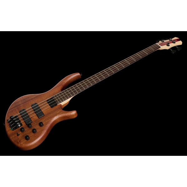 Avis basse électrique Tobias Killer B IV
