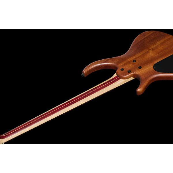 Avis basse électrique Tobias Killer B IV