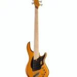 La basse électrique Dingwall NG3 Nolly Sig.5 Gold Matte : Notre avis
