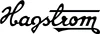 Hagstrom Super Swede Fall Sky Gloss