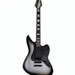 Faut-il investir dans cette guitare ESP ? Avis sur la ESP LTD JD-I Joe Duplantier SSB
