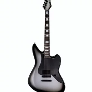 Faut-il investir dans cette guitare ESP ? Avis sur la ESP LTD JD-I Joe Duplantier SSB