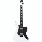 Rock, Metal, Blues : Avis sur la polyvalence de la ESP LTD XJ-2HT SWD