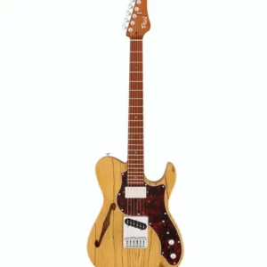 Avis, Test et Meilleur Prix pour la guitare FGN Expert Iliad Thinline VNT