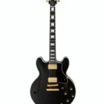 L’avis de notre expert sur la célèbre FGN Masterfield Semi Custom HH BK