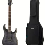 Avis sur la Harley Benton Amarok-6 BKNT Flame Bur w/Bag : La référence électrique incontournable ?