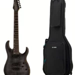 Guitare électrique Harley Benton Amarok-7 BKNT Flame w/Bag : Le test ultime et notre verdict