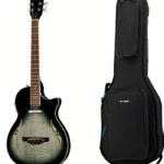 Harley Benton Custom Line N.-Steel w/Bag : Caractéristiques, Prix et Avis d’expert